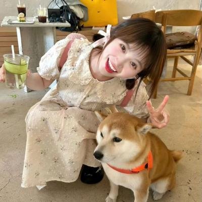 纽约转角遇到爱